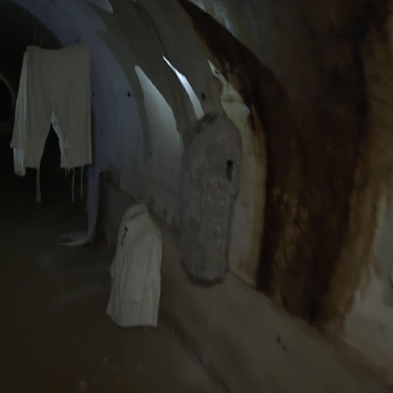 Screen Shot 2022-10-13 at 12.50.22 PM